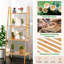 Myquan 148 cm H x 60 cm W Solid Wood Ladder Bookcase