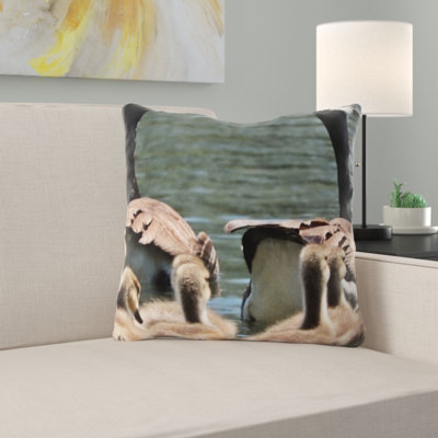 Coussin en oies