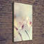 Cherry Blossoms - Wrapped Canvas Print