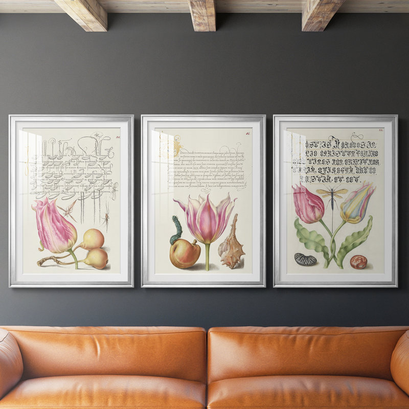 Hoefnagel Tropical Specples III - reproduction sur mesure encadrée de qualité supérieure - 3 pièces
