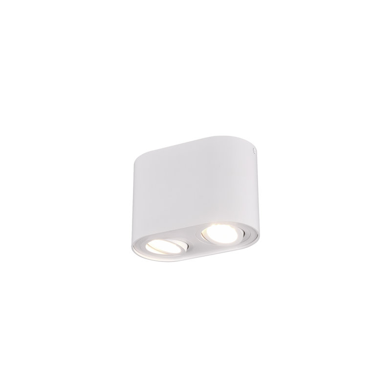 Dewitt LED Flush Mount, Matte White