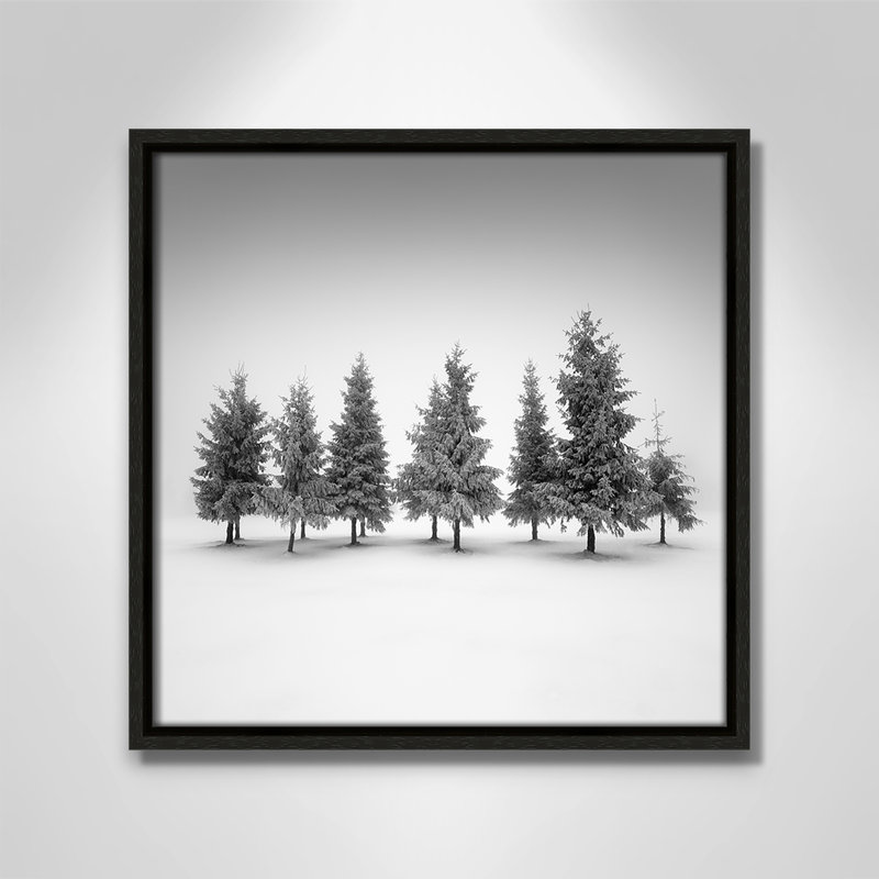 Impression d'épinette par Daniel, L 13,5 po x H 13,5 po, Toile avec cadre, Flottant espresso