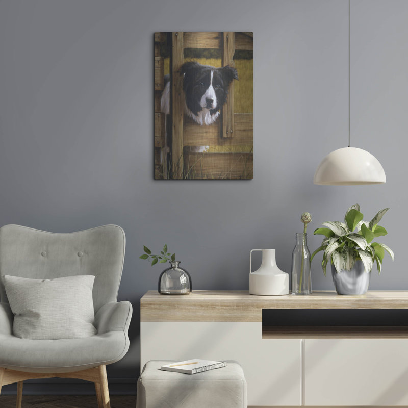 " Border Collie Exploring " by John Silver