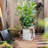 Wesolowski Handmade Pot Planter