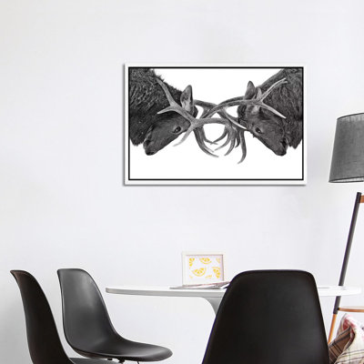Eye To Eye Elk Fight by Jim Cumming - Print on Canvas