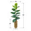 55'' Faux Rubber Tree
