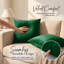Luxurious Plain Velvet Cushion Covers (Set Of 2)-1625199597
