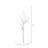Elegance Twig Branch