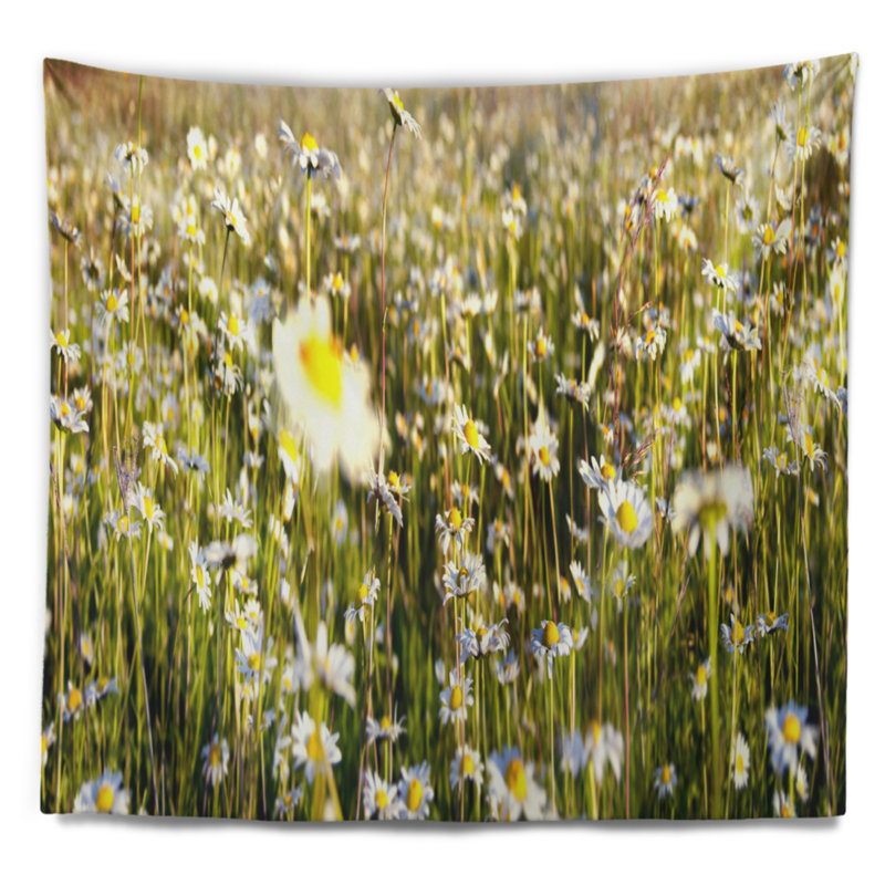 Tapisserie de terrain fleur sauvage camomille, H 32 po x l 39 po