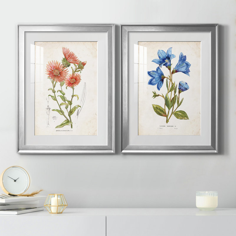 «Botanical I», ensemble de 2 reproductions d'art, Blanc, H 18,5 po x l 49 po x P 1,5 po, Papier avec cadre argenté