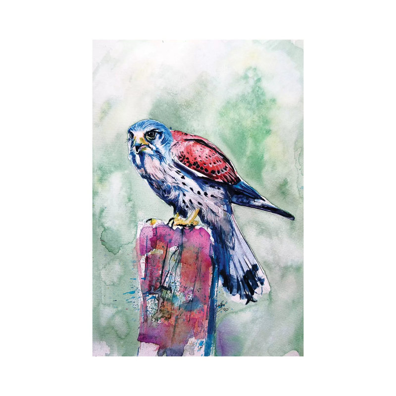 Kestrel 1 Piece Wrapped Canvas Wall Art, 20.32 cm H x 30.48 cm W