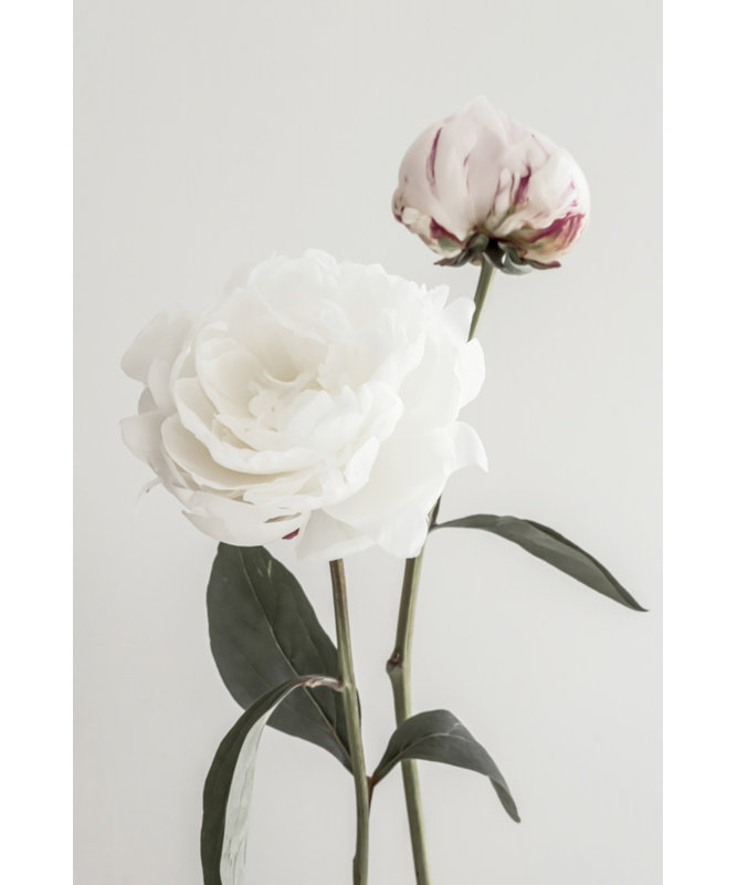Wrapped Canvas Print, 50.8 cm H x 76.2 cm W