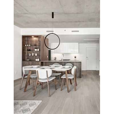 1 - Light Black LED Single Pendant