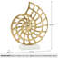 Sculpture 14 po Nautilus Shell