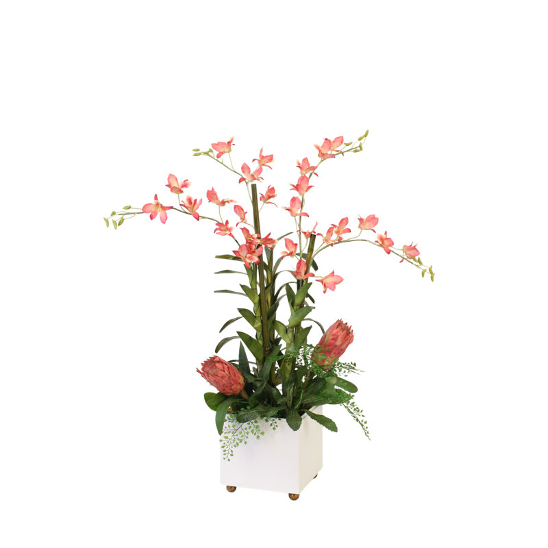 Tropical Mix with Protea in White Box