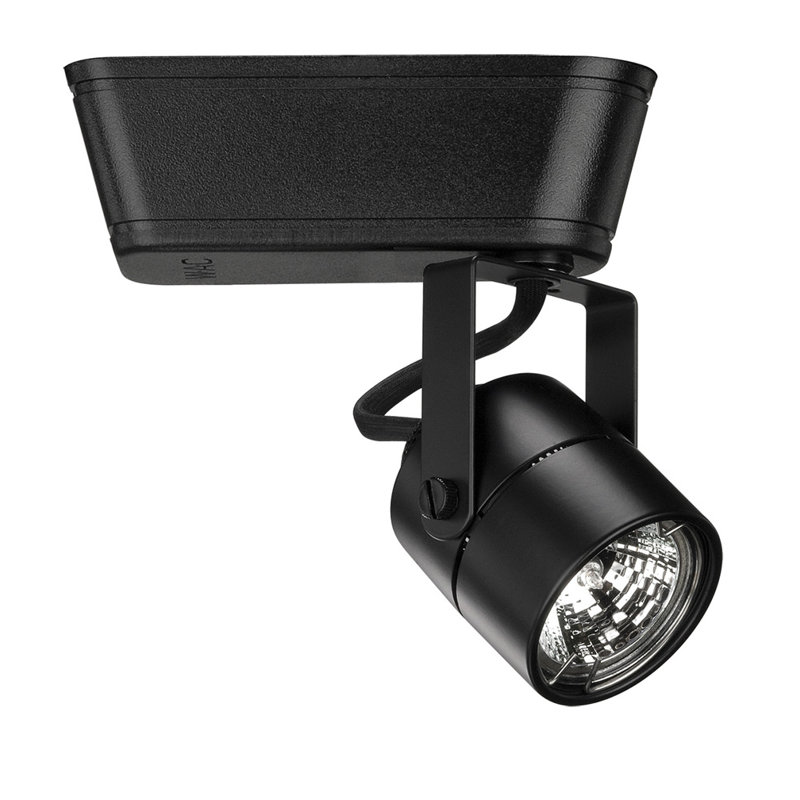Domed Mesh Back Track Head, Lightolier Series, 75W MR16 Halogen Bulb, Black