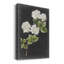 «Dramatic White Flowers II», reproduction sur toile tendue-868117470