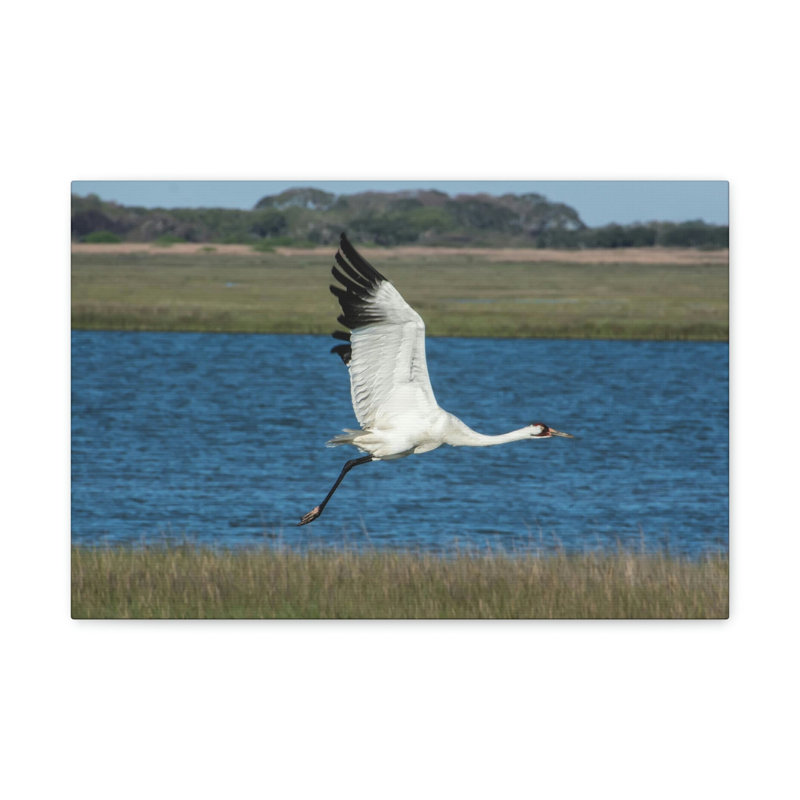 No Frame Print on Canvas, 27.94cm H x 35.56cm W