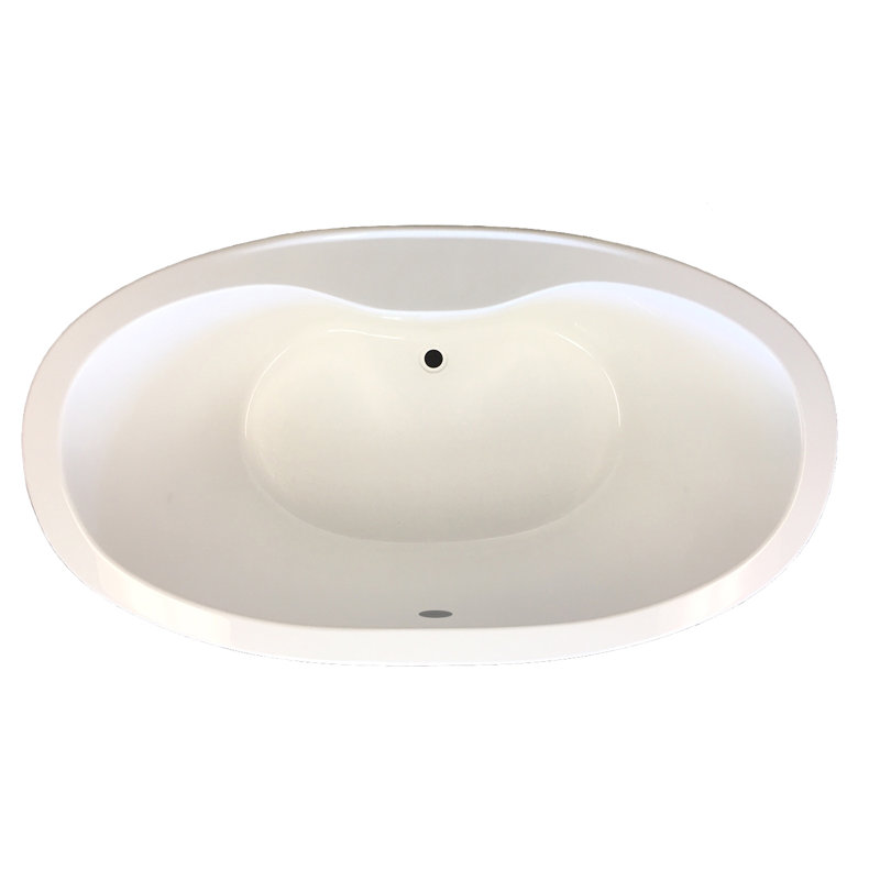 Danielle 65.5'' L Freestanding Soaking Bathtub