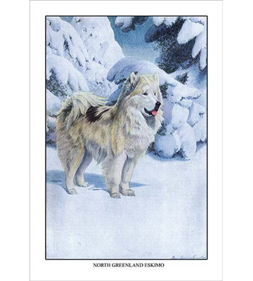 " North Greenland Eskimo " by Louis Agassil