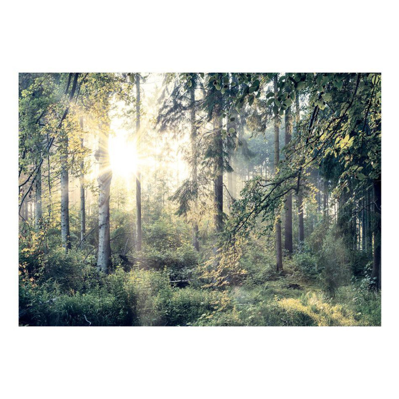 Murale Fehrat Tales of a Forest, L 27 po x l 38 po