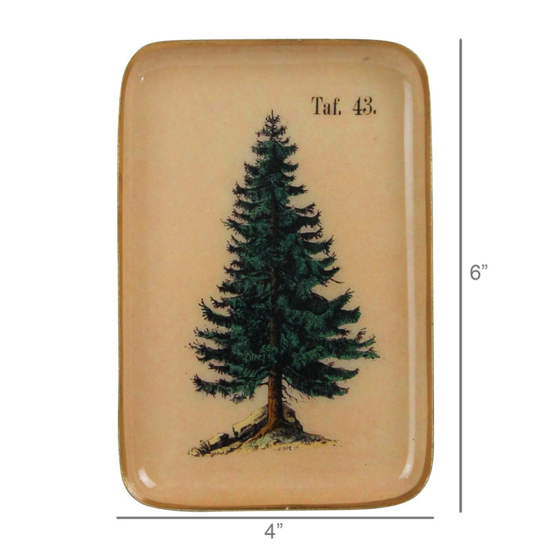 Plateau - Arbre simple, rectangulaire Sm, H 4 po x l 0,75 po x P 6 po, Vert, Rectangulaire