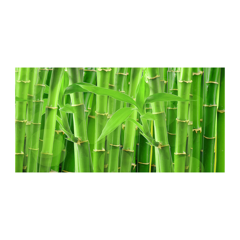 Bamboos - Wrapped Canvas Print