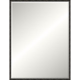 Adelaide Mirror