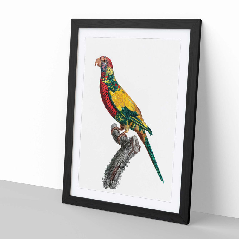 Rainbow Lorikeet by F. Levaillant - Picture Frame Painting Print, Black Framed, 48cm H x 36cm W x 2cm D