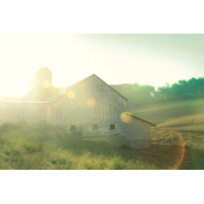 «Farm Morning II Square»