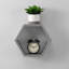 Barayon Hexagon Floating Shelf-1507939589