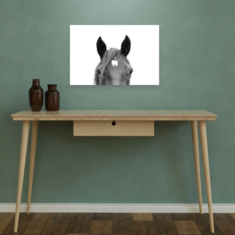 «Peeking Horse», art mural cheval contemporain