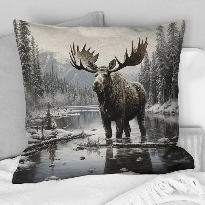 Coussin , H 18 po x l 18 po