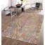 Oriental Area Rug in Beige