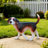 Lifelike Beagle Dog Statue