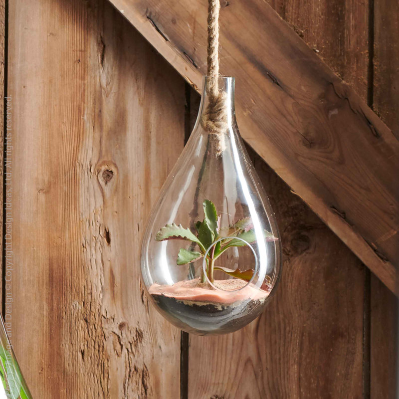Terrarium en verre