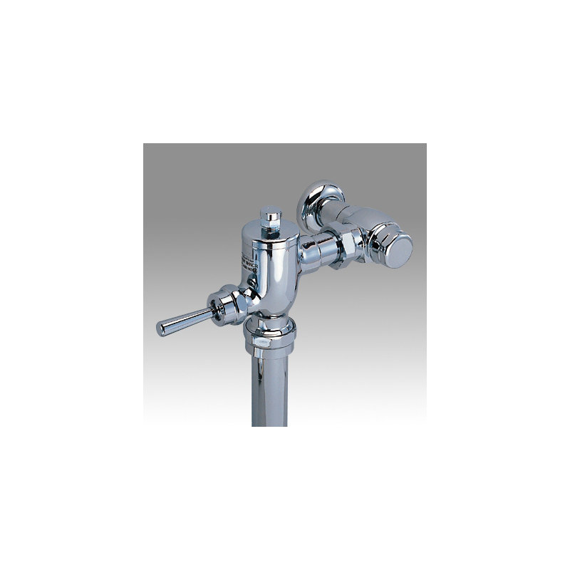 Exposed Manual Flush Valve, Valve Only