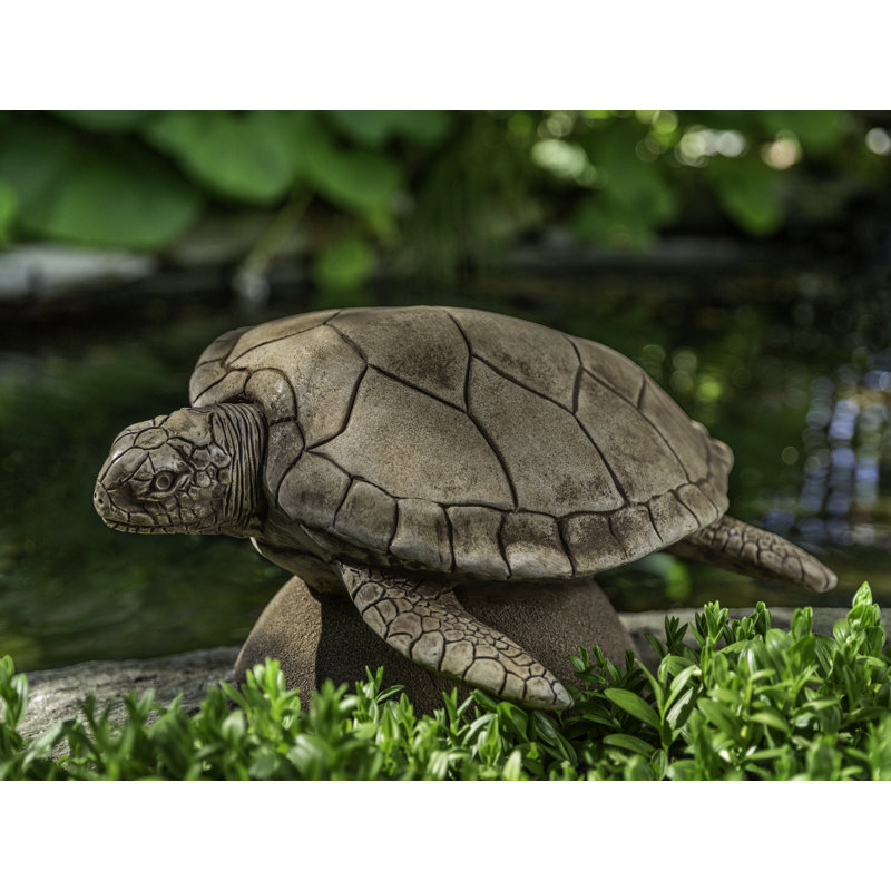 Large Sea Turtle, Brownstone