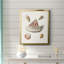 Pastel Knorr Shells VII, toile encadrée de qualité supérieure - prête à être accrochée-1667618920-1667618925