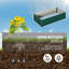 Ceclia Planter Box-1702568576-1702568591