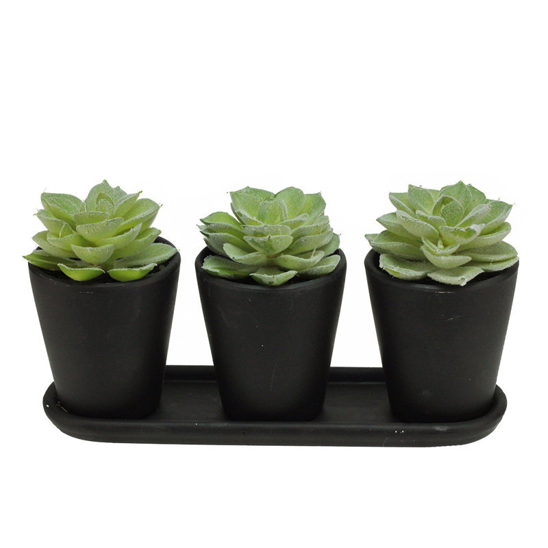 Plantes succulentes artificielles 9 po Echeveria