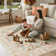 Kaldi Kaldi Oriental Botanical Floral Machine Washable Area Rug with Non-Slip Backing for Living Room, Dining Room, Bedroom