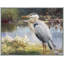 Birds-2090726213-2090726210