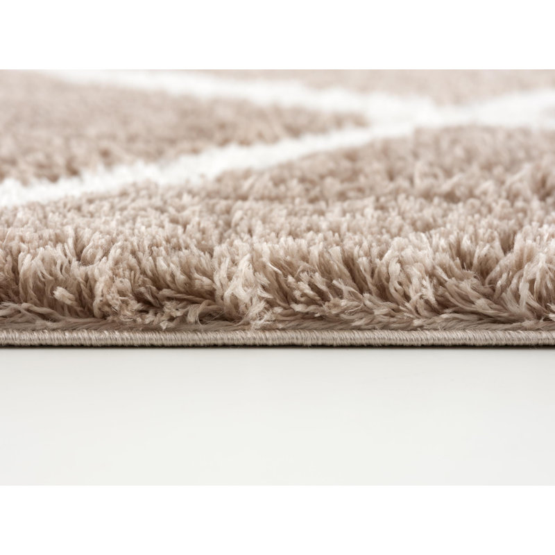 3' X 5' Beige Geometric Area Rug, Rectangle 2'8" x 4'11"