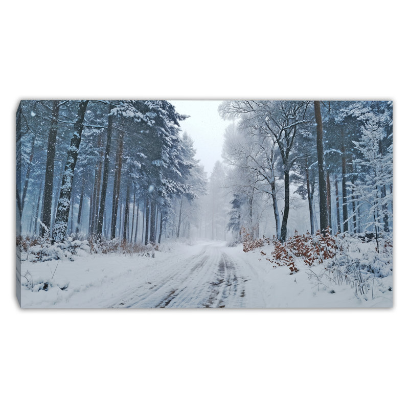 «Snowstorm Forest Path», art mural sur toile tendue, H 20 po x l 36 po