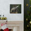 No Frame Print on Canvas-139278065