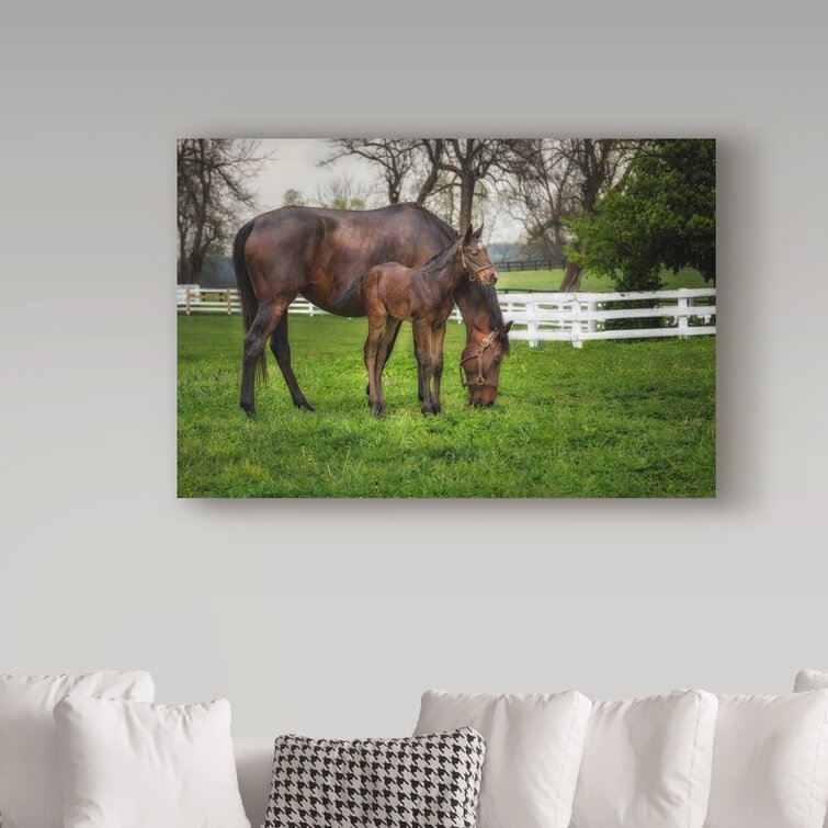 Trademark Art Galloimages Online Mare And Foal Together On Canvas by ...