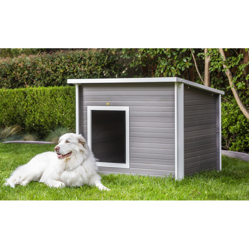 Medium Gray Plastic Outdoor Dog House with Elevated Floor
