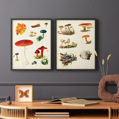 Mushroom Species VIII-Premium Framed Print -Ready to Hang - No Nails Required - No Nails Required