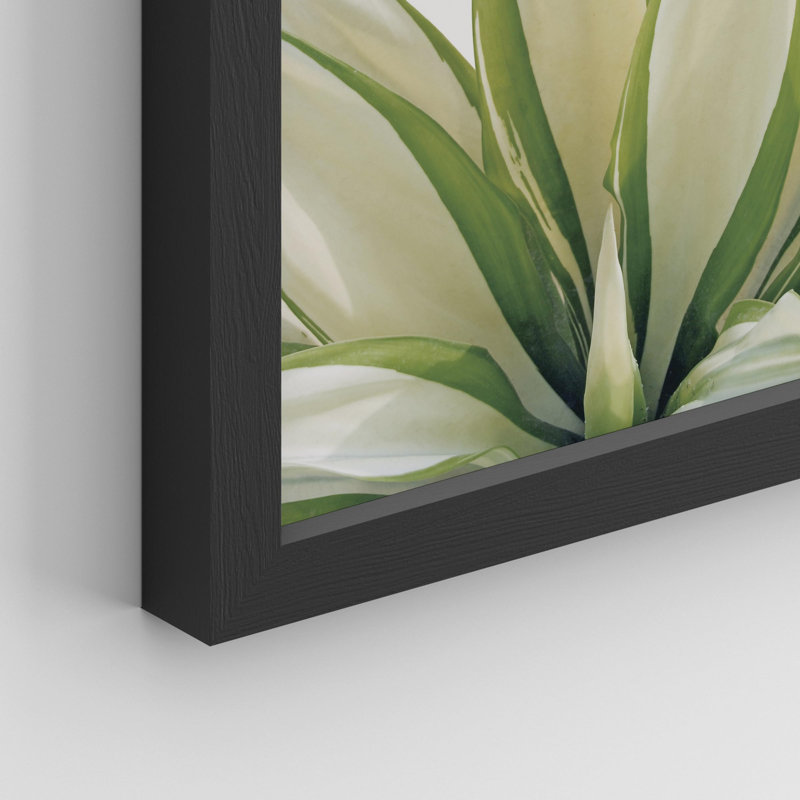 «Tropical Succulent Close Up Green Fan Leaf Desert» sur papier, H 10 po x l 8 po, Noir